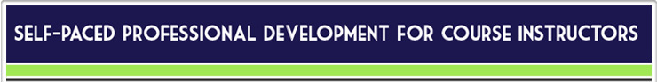 Self-Paced Professional Development for Course Instructors